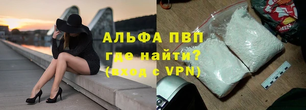 прущие грибы Абаза