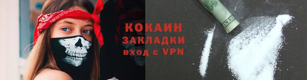прущие грибы Абаза