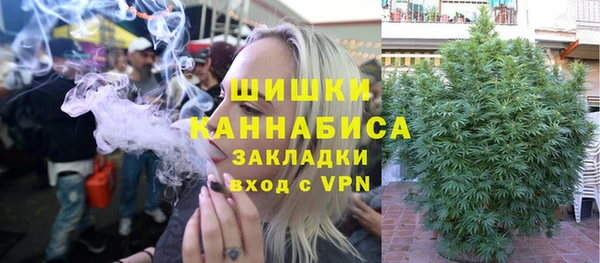 сатива Алексеевка