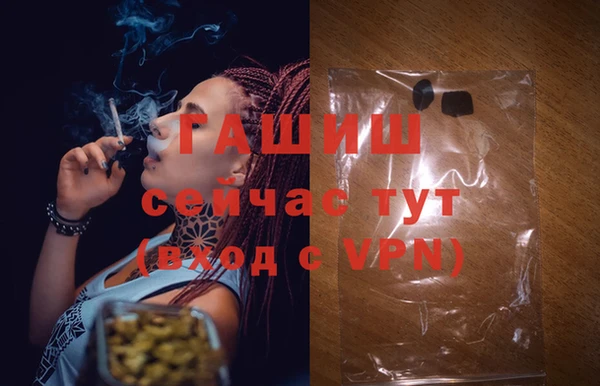 прущие грибы Абаза