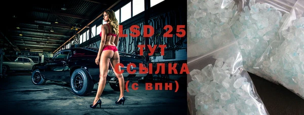 прущие грибы Абаза